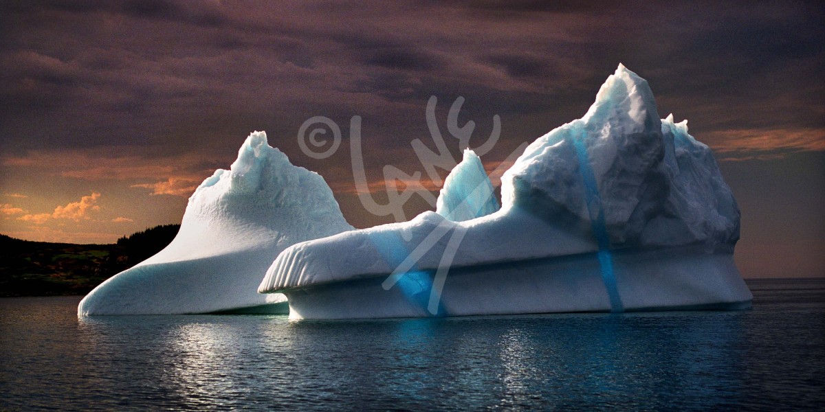 Twillingate Iceberg in Blues Panorama